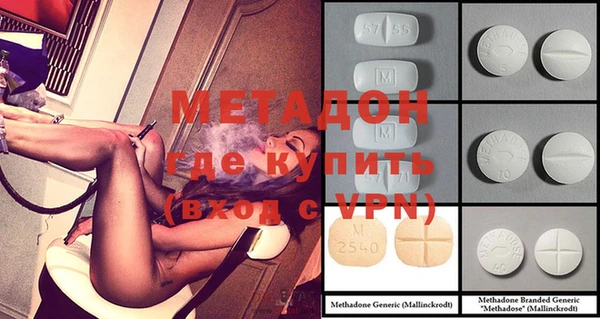 прущие грибы Иннополис