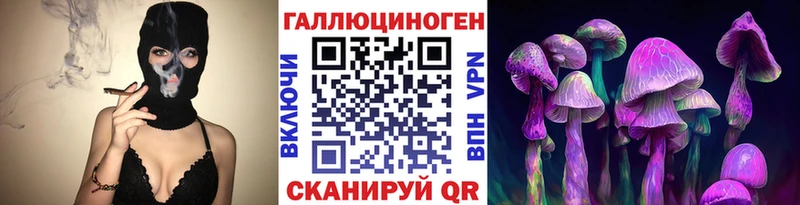 дарнет шоп  Советск  Псилоцибиновые грибы Cubensis 
